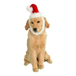 Red Pet Santa Hat and Beard