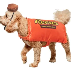 Reese's Peanut Butter Cup Pet Costume