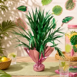 Royal Palm Party Kit for 20 Guests