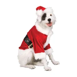 Santa Claus Pet Costume