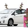 Sequin Rudolph Reindeer Car Decorating Kit 3pc