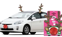 Sequin Rudolph Reindeer Car Decorating Kit 3pc