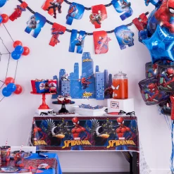 Spider-Man Webbed Wonder Wall Decorating Kit
