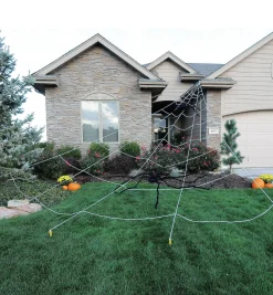 Spider Web Yard Decoration