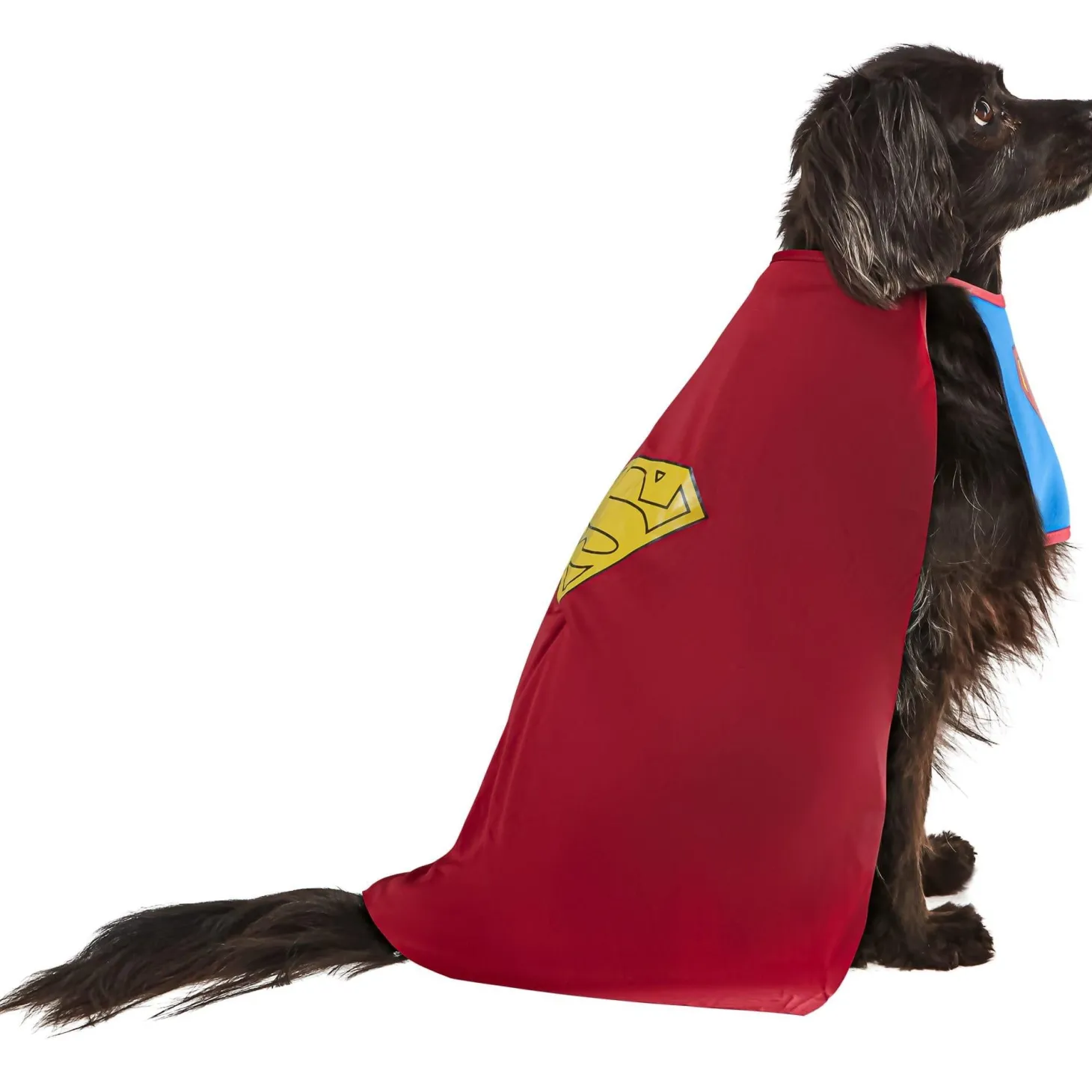 Superman Costume for Dogs