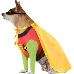Teen Titans Robin Pet Costume