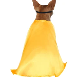 Teen Titans Robin Pet Costume