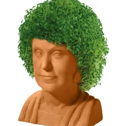 The Golden Girls Dorothy Chia Pet