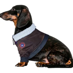 Top Gun Pet Jacket