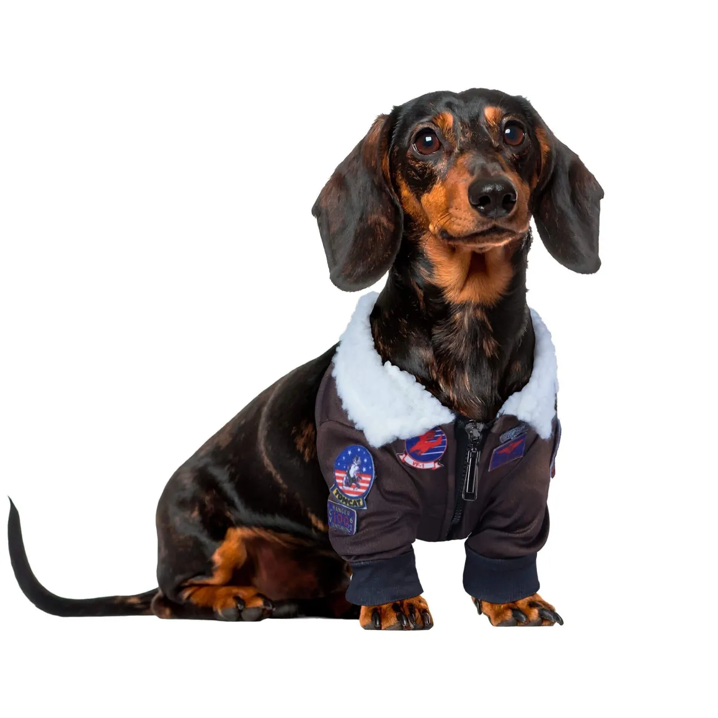 Top Gun Pet Jacket