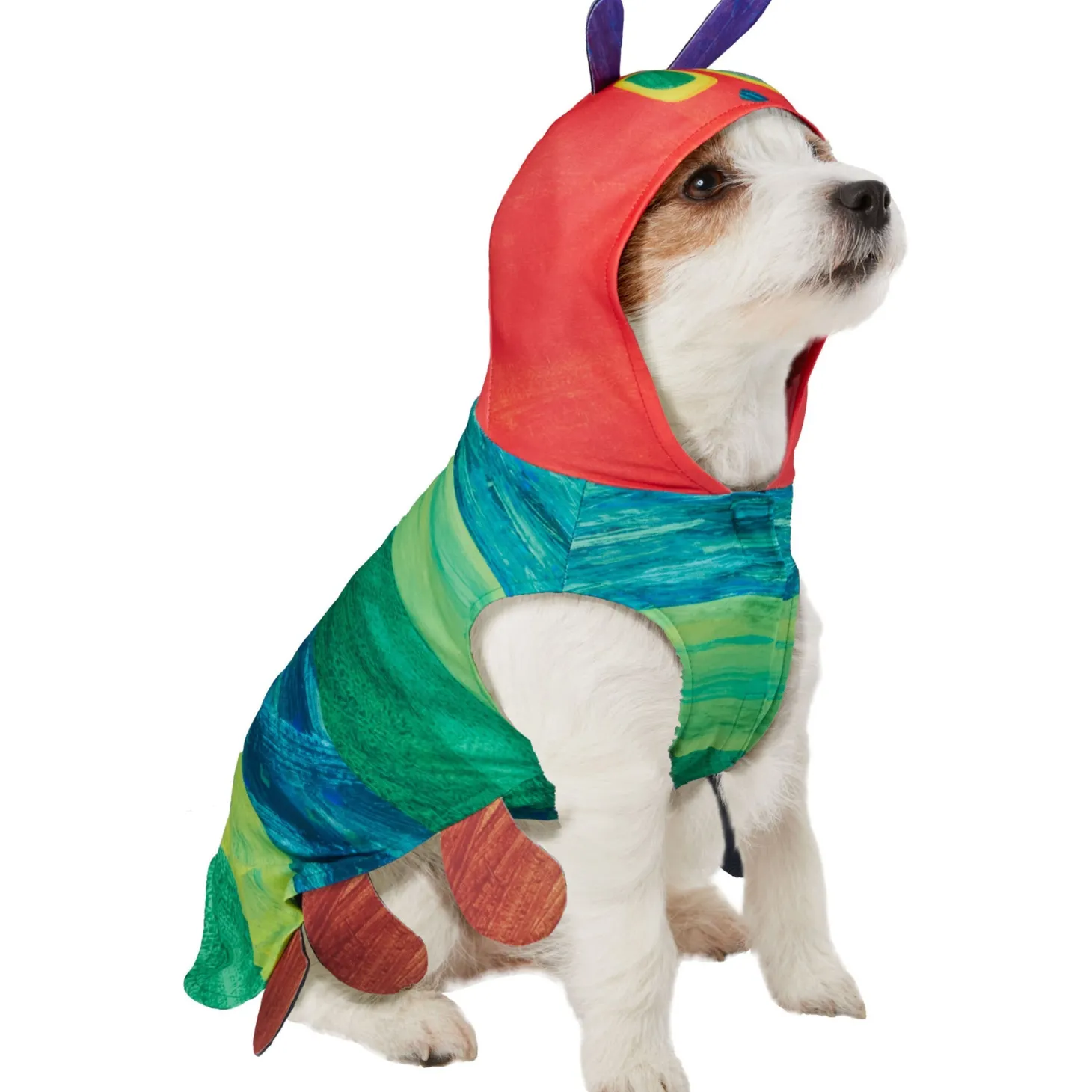 Very Hungry Caterpillar Pet Costume
