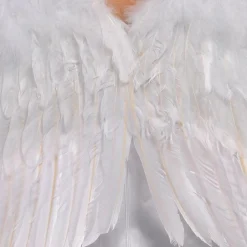 White Angel Wings