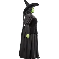 Women's Plus Size The Wizard of Oz Wicked Witch Costume