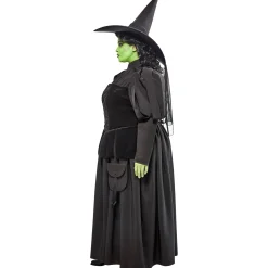 Women's Plus Size The Wizard of Oz Wicked Witch Costume