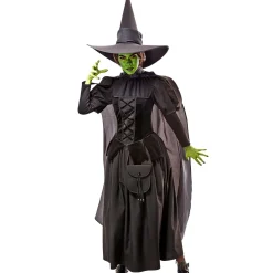 Women's The Wizard of Oz Wicked Witch Costume - Deluxe