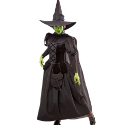 Women's The Wizard of Oz Wicked Witch Costume - Deluxe