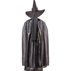 Women's The Wizard of Oz Wicked Witch Costume - Deluxe