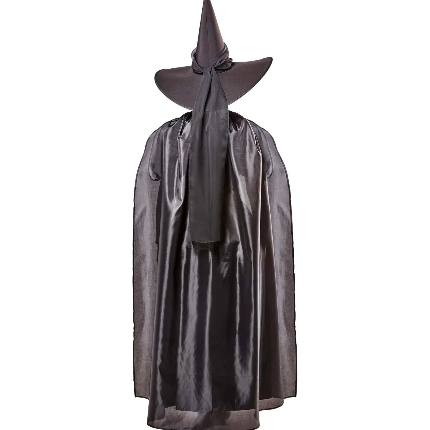 Women's The Wizard of Oz Wicked Witch Costume - Deluxe
